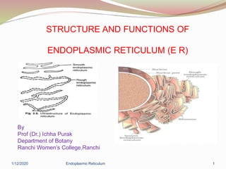 STRUCTURE AND FUNCTIONS OF
ENDOPLASMIC RETICULUM (E R)
By
Prof (Dr.) Ichha Purak
Department of Botany
Ranchi Women’s College,Ranchi
1/12/2020 Endoplasmic Reticulum 1
 