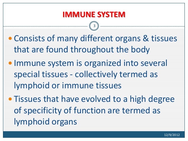 structure and functions of immune system immune system function