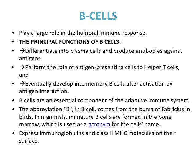Structure And Functions Of Immune System