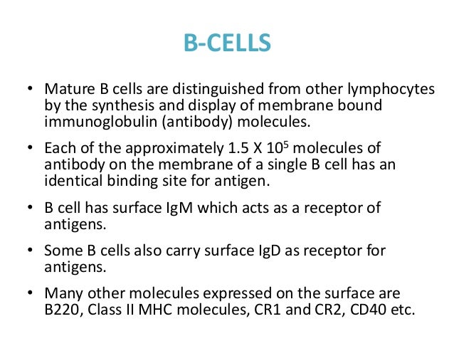 Structure And Functions Of Immune System