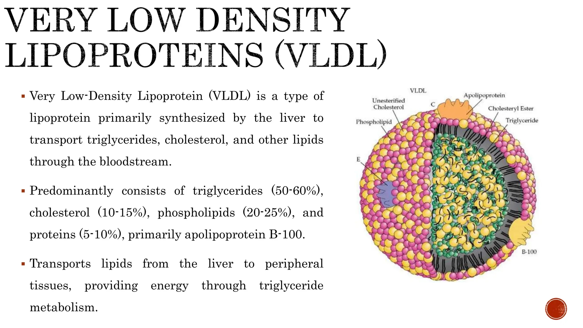  Very Low-Density Lipoprotein (VLDL) is a type of
lipoprotein primarily synthesized by the liver to
transport triglycerides, cholesterol, and other lipids
through the bloodstream.
 Predominantly consists of triglycerides (50-60%),
cholesterol (10-15%), phospholipids (20-25%), and
proteins (5-10%), primarily apolipoprotein B-100.
 Transports lipids from the liver to peripheral
tissues, providing energy through triglyceride
metabolism.
 