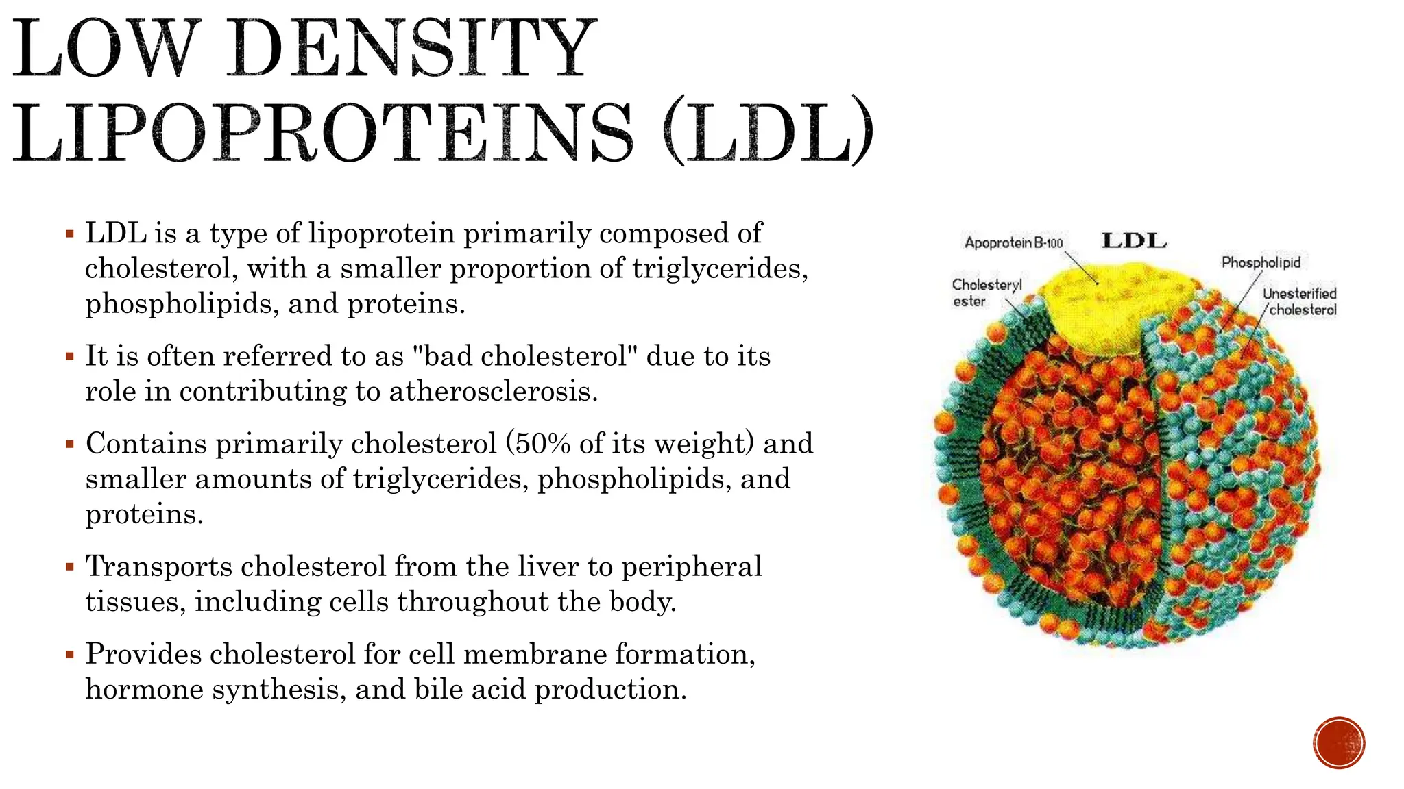  LDL is a type of lipoprotein primarily composed of
cholesterol, with a smaller proportion of triglycerides,
phospholipids, and proteins.
 It is often referred to as "bad cholesterol" due to its
role in contributing to atherosclerosis.
 Contains primarily cholesterol (50% of its weight) and
smaller amounts of triglycerides, phospholipids, and
proteins.
 Transports cholesterol from the liver to peripheral
tissues, including cells throughout the body.
 Provides cholesterol for cell membrane formation,
hormone synthesis, and bile acid production.
 