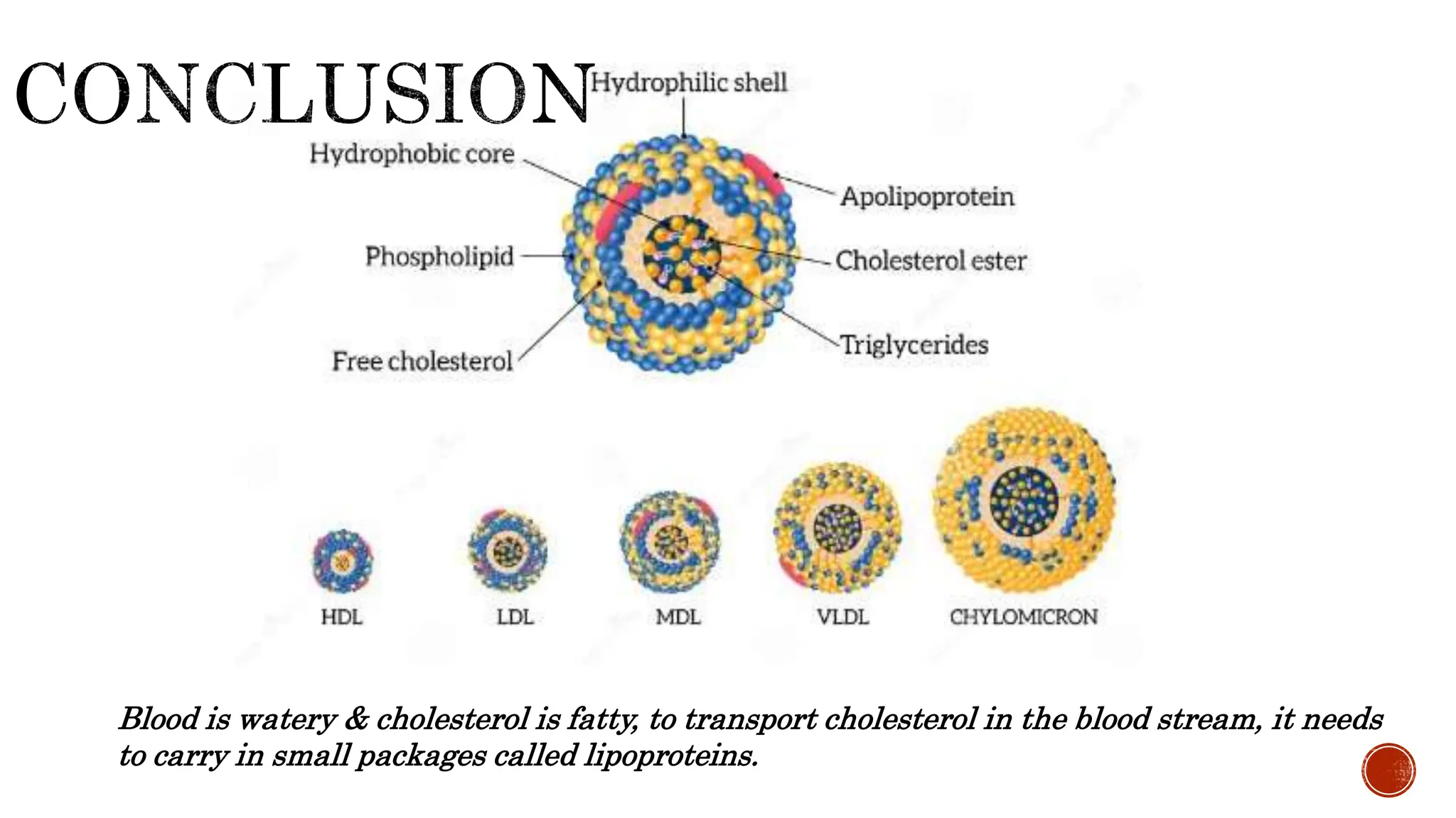 Blood is watery & cholesterol is fatty, to transport cholesterol in the blood stream, it needs
to carry in small packages called lipoproteins.
 