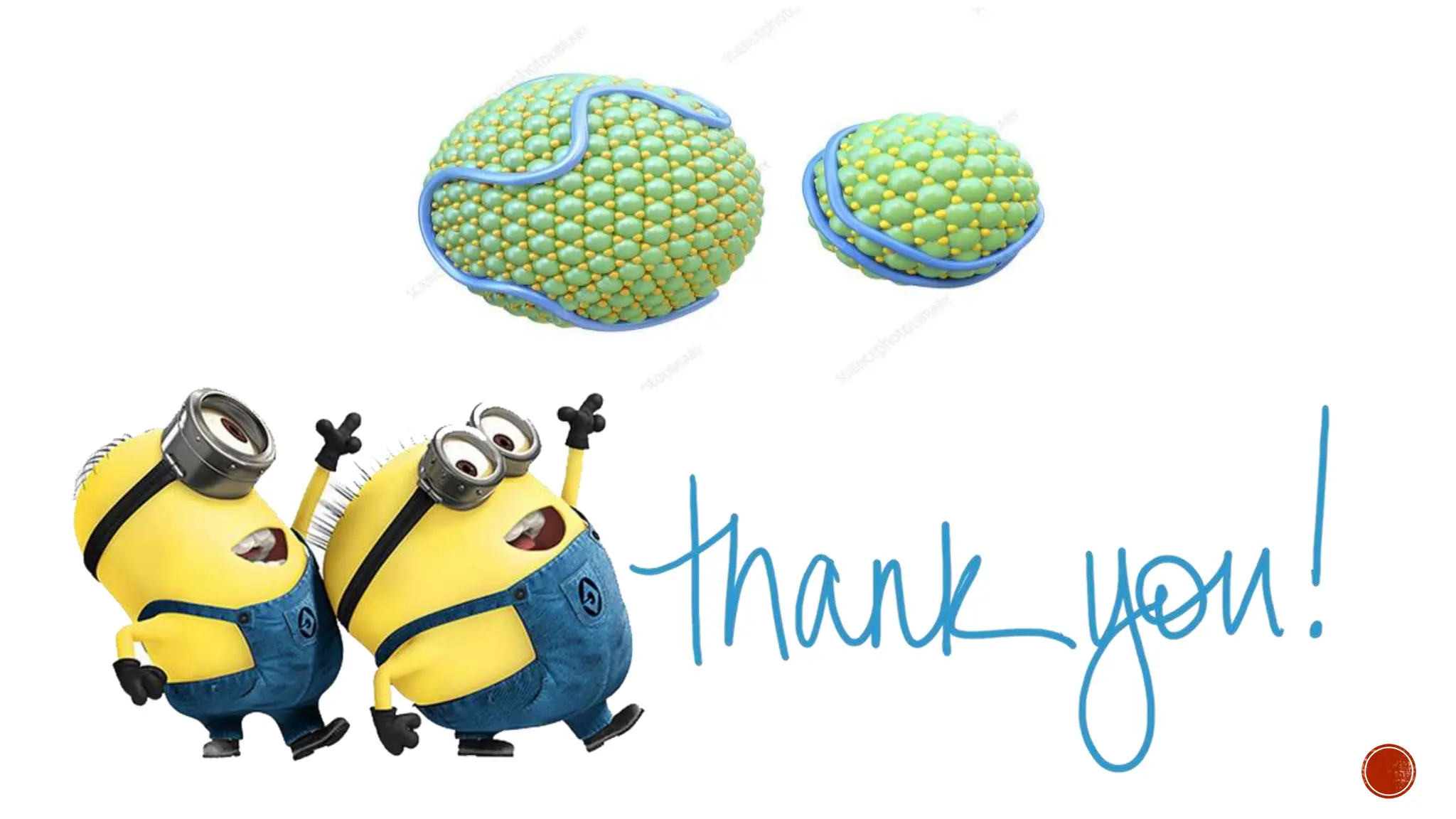 Structure and Functions of Lipoprotein.pptx