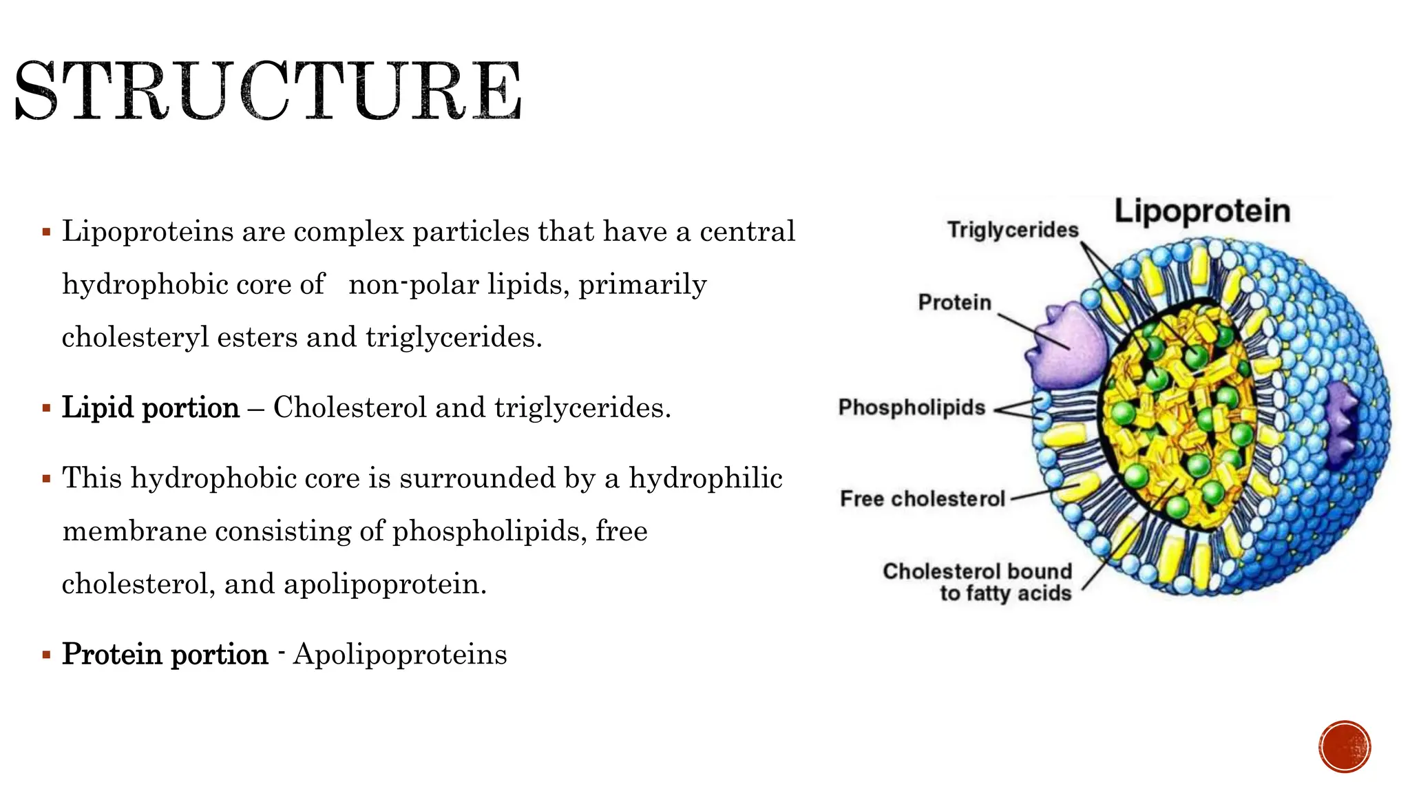  Lipoproteins are complex particles that have a central
hydrophobic core of non-polar lipids, primarily
cholesteryl esters and triglycerides.
 Lipid portion – Cholesterol and triglycerides.
 This hydrophobic core is surrounded by a hydrophilic
membrane consisting of phospholipids, free
cholesterol, and apolipoprotein.
 Protein portion - Apolipoproteins
 