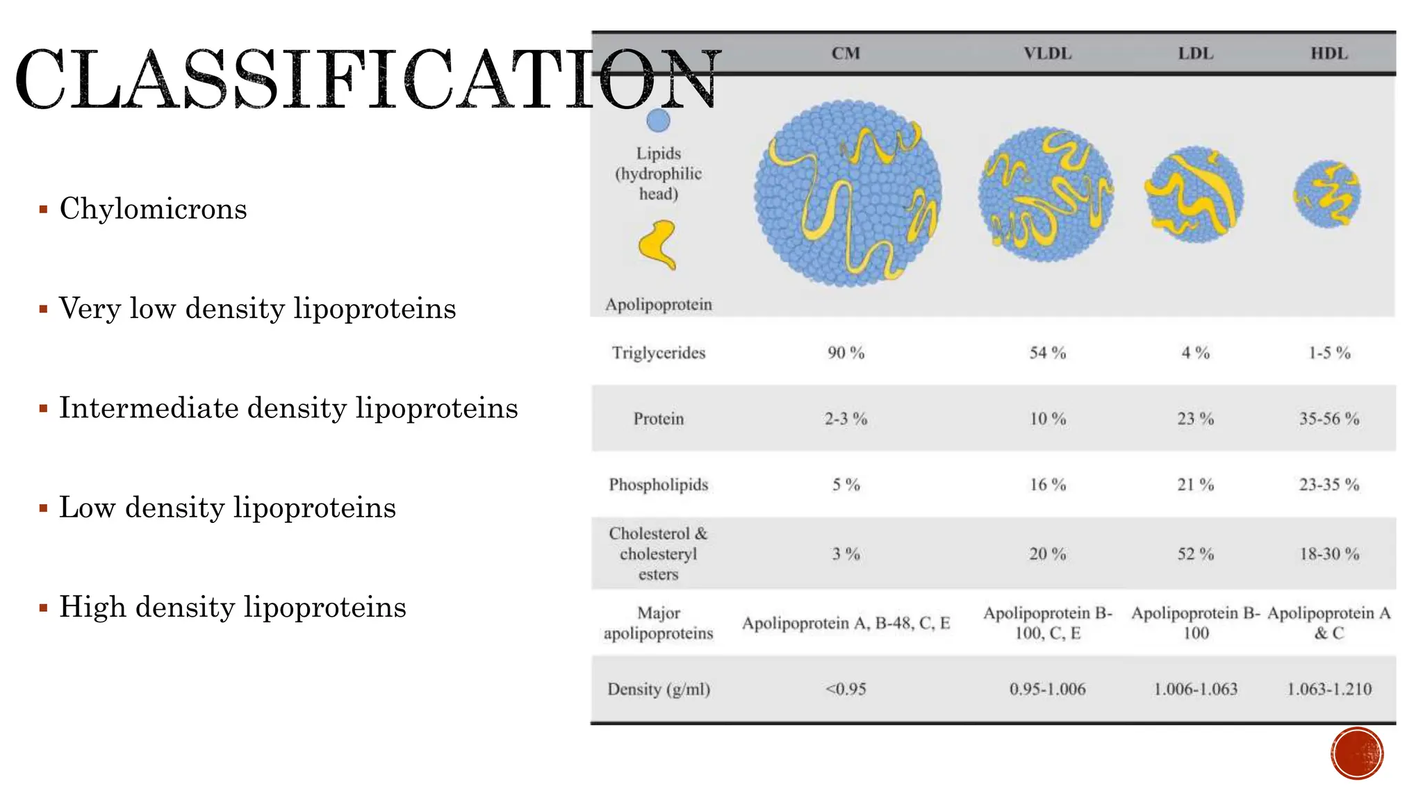  Chylomicrons
 Very low density lipoproteins
 Intermediate density lipoproteins
 Low density lipoproteins
 High density lipoproteins
 