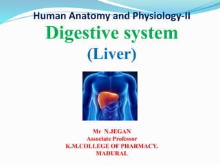 Human Anatomy and Physiology-II
Digestive system
(Liver)
Mr N.JEGAN
Associate Professor
K.M.COLLEGE OF PHARMACY.
MADURAI.
 
