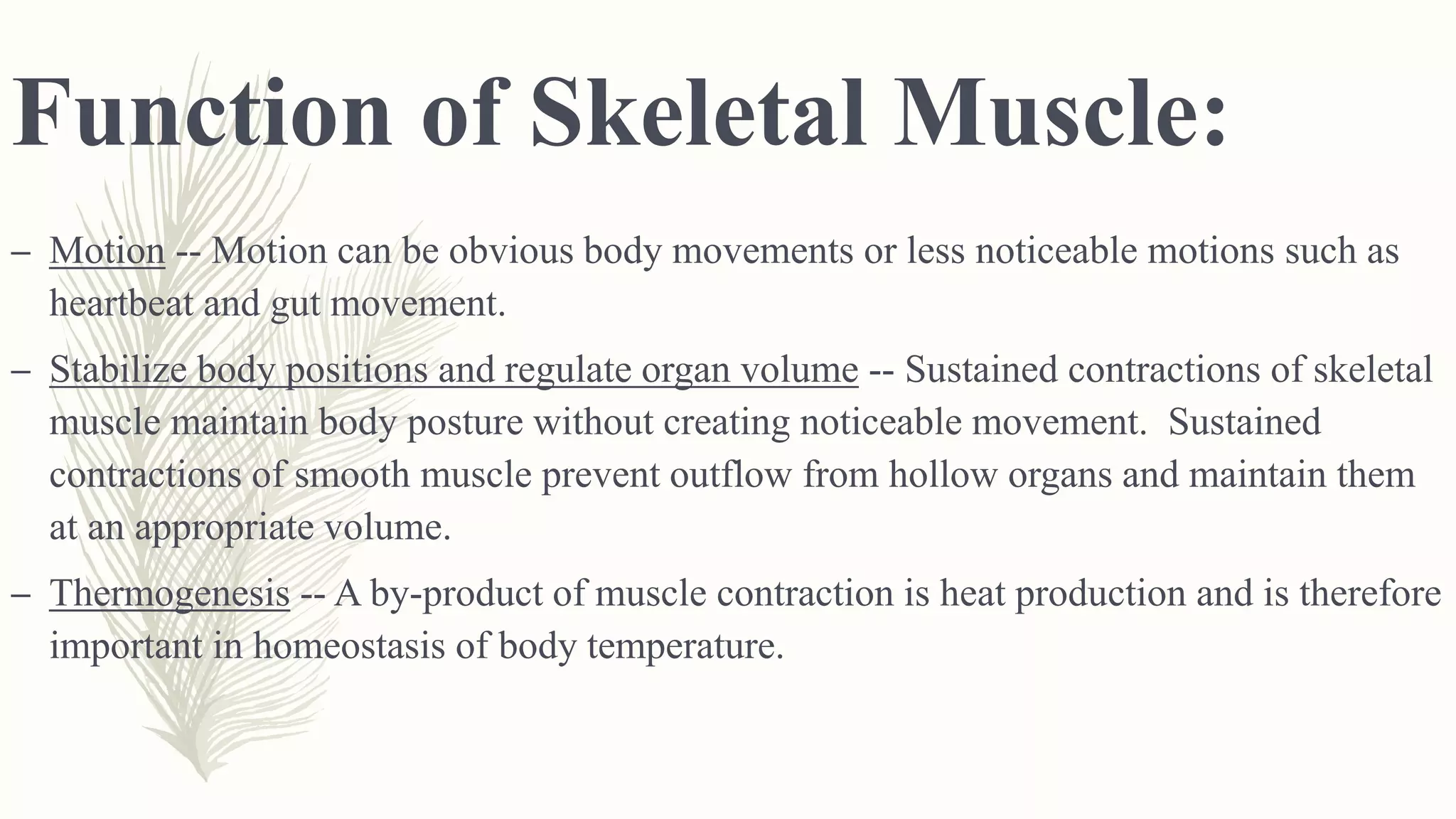 Function of Skeletal Muscle:
– Motion -- Motion can be obvious body movements or less noticeable motions such as
heartbeat and gut movement.
– Stabilize body positions and regulate organ volume -- Sustained contractions of skeletal
muscle maintain body posture without creating noticeable movement. Sustained
contractions of smooth muscle prevent outflow from hollow organs and maintain them
at an appropriate volume.
– Thermogenesis -- A by-product of muscle contraction is heat production and is therefore
important in homeostasis of body temperature.
 