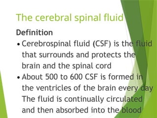 STRUCTURE AND FUNCTIONS OF NERVOUS SYSTEM.pptx