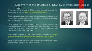 Structure and Functions of Nucleic acids.pptx
