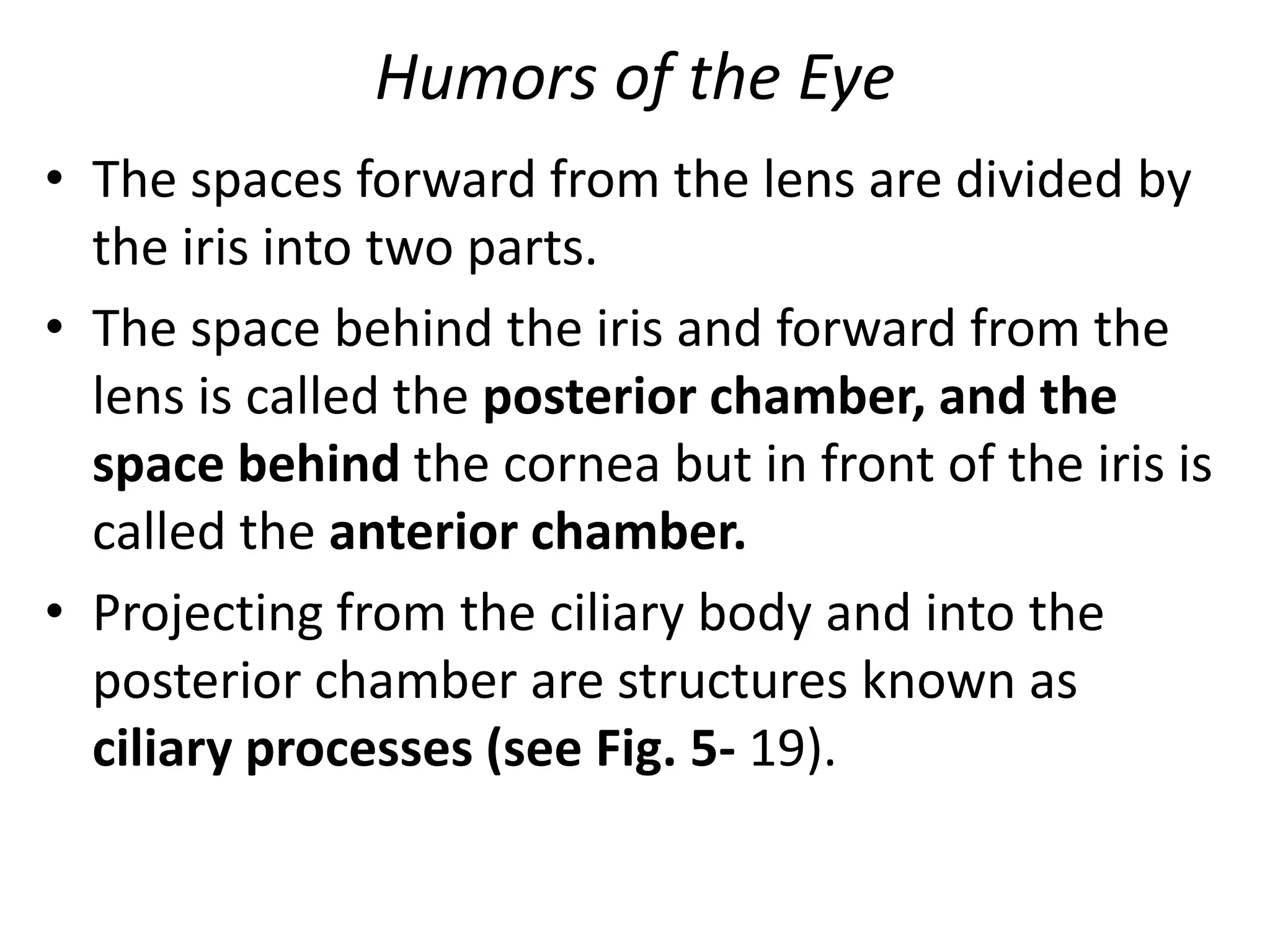 Structure And Functions Of The Eye By Sgreen2 Teaching