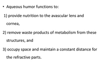 Structure and Functions of the Eye 2.pptx