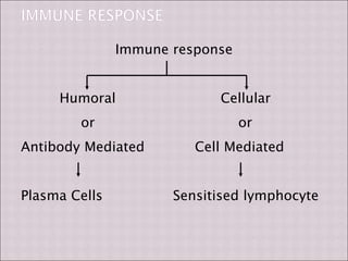 Structure and Functions of the Immune System.ppt