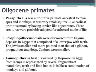 Propliopithecus The Evolution of Homo Sapiens: A Story of Survival and Adaptation.pptx