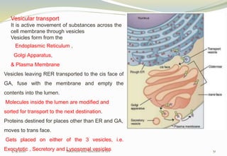 Structure and functon of golgi apparatus | PPTX