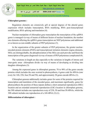 Structure and genesis of mitochondrial and chloroplast, DNA replication ...