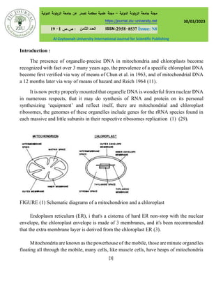 Structure and genesis of mitochondrial and chloroplast, DNA replication ...