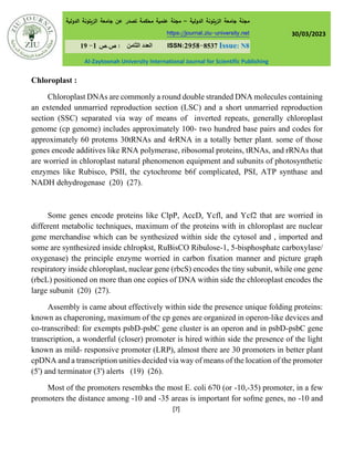 Structure and genesis of mitochondrial and chloroplast, DNA replication ...