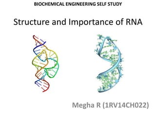 Structure and Importance of RNA
Megha R (1RV14CH022)
BIOCHEMICAL ENGINEERING SELF STUDY
 