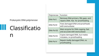 Structure and Mechanism of DNA polymerase.pptx