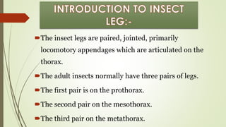 STRUCTURE AND MODIFICATION OF INSECT LEG ENT-501.pdf