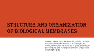 Singer Organization Structure Structure and organization of biological membranes.pptx