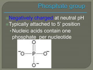 Monomers
 nucleotides, are made up of three parts:
(a) Phosphate (phosphoric acid)
(b) N-base (Nitrogenous base)
(c) Suga...