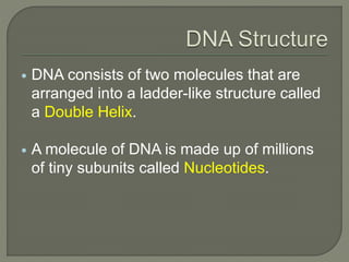 • 1° structure: the order of bases on the
polynucleotide sequence; the order of bases
specifies the genetic code
• 2° stru...