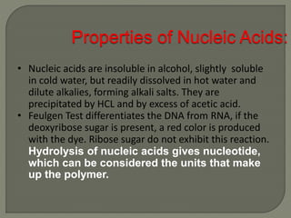 Structure and properties of nucleic acid