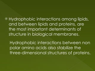  Hydrophobic interactions among lipids,
and between lipids and proteins, are
the most important determinants of
structure in biological membranes.
Hydrophobic interactions between non
polar amino acids also stabilize the
three-dimensional structures of proteins.
 