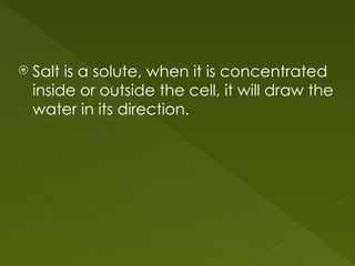  Salt is a solute, when it is concentrated
inside or outside the cell, it will draw the
water in its direction.
 
