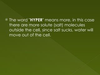  The word "HYPER" means more, in this case
there are more solute (salt) molecules
outside the cell, since salt sucks, water will
move out of the cell.
 