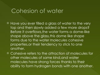 Cohesion of water
 Have you ever filled a glass of water to the very
top and then slowly added a few more drops?
Before it overflows,the water forms a dome-like
shape above the glass.this dome like shape
forms due to the water molecules cohesive
properties,or their tendency to stick to one
another.
 Cohesive refers to the attraction of molecules for
other molecules of same kind,and water
molecules have strong forces thanks to their
ability to form hydrogen bonds with one another.
 