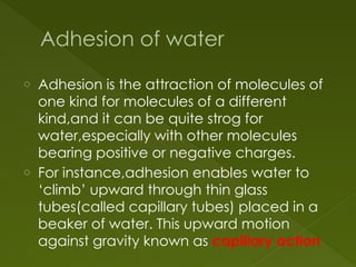 Adhesion of water
o Adhesion is the attraction of molecules of
one kind for molecules of a different
kind,and it can be quite strog for
water,especially with other molecules
bearing positive or negative charges.
o For instance,adhesion enables water to
‘climb’ upward through thin glass
tubes(called capillary tubes) placed in a
beaker of water. This upward motion
against gravity known as capillary action
 