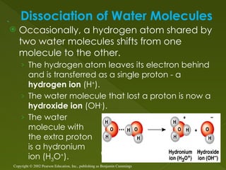 Dissociation of Water Molecules
 Occasionally, a hydrogen atom shared by
two water molecules shifts from one
molecule to the other.
› The hydrogen atom leaves its electron behind
and is transferred as a single proton - a
hydrogen ion (H+
).
› The water molecule that lost a proton is now a
hydroxide ion (OH-
).
› The water
molecule with
the extra proton
is a hydronium
ion (H3O+
).
Copyright © 2002 Pearson Education, Inc., publishing as Benjamin Cummings
Unnumbered Fig. 3.47
 