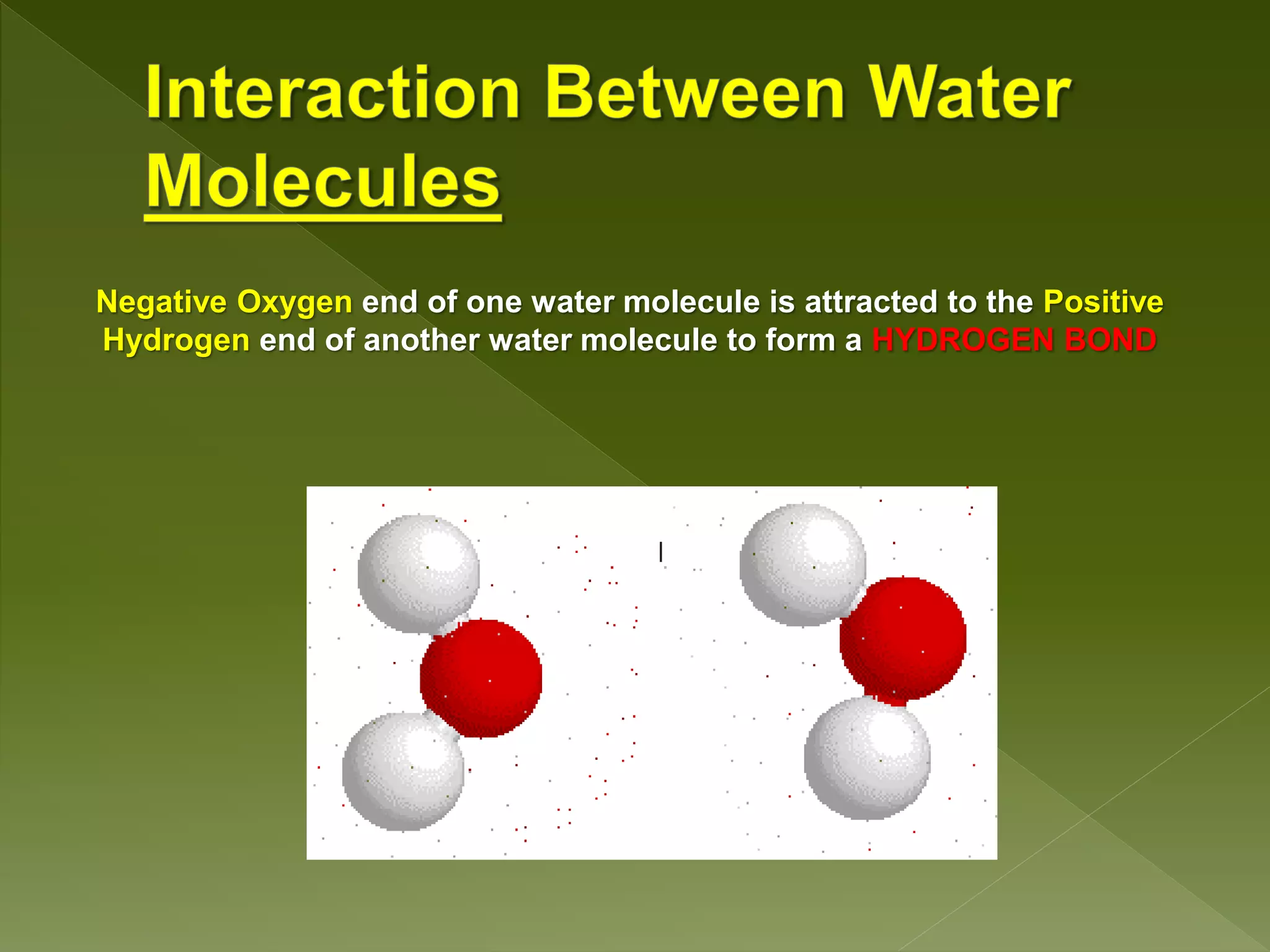 Negative Oxygen end of one water molecule is attracted to the Positive
Hydrogen end of another water molecule to form a HYDROGEN BOND
 