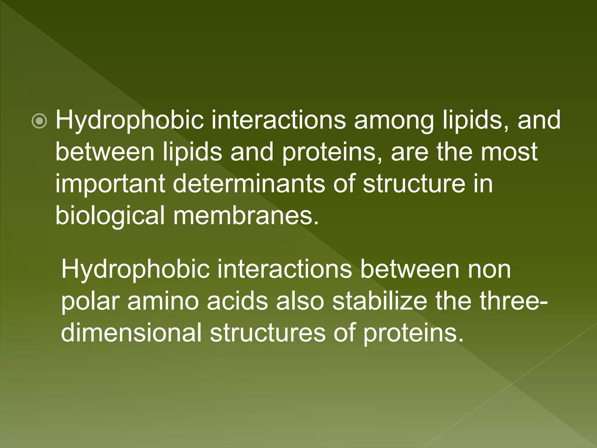  Hydrophobic interactions among lipids, and
between lipids and proteins, are the most
important determinants of structure in
biological membranes.
Hydrophobic interactions between non
polar amino acids also stabilize the three-
dimensional structures of proteins.
 