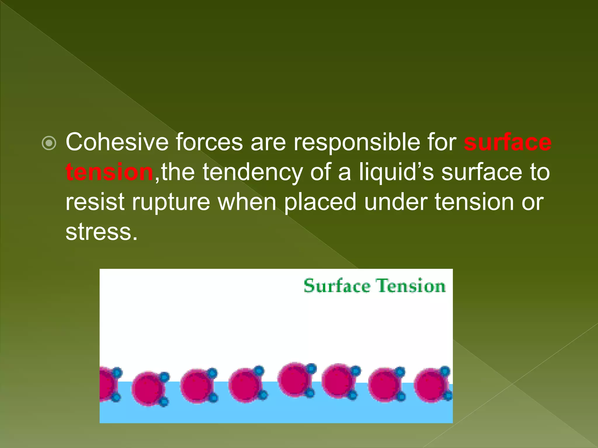 Cohesive forces are responsible for surface
tension,the tendency of a liquid’s surface to
resist rupture when placed under tension or
stress.
 