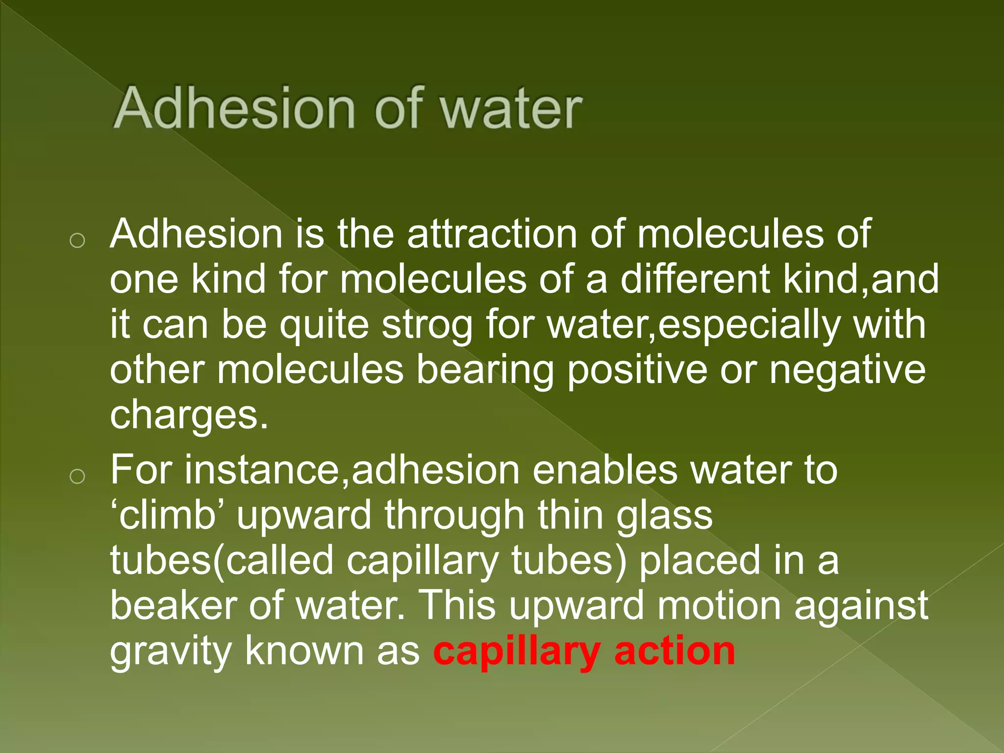 o Adhesion is the attraction of molecules of
one kind for molecules of a different kind,and
it can be quite strog for water,especially with
other molecules bearing positive or negative
charges.
o For instance,adhesion enables water to
‘climb’ upward through thin glass
tubes(called capillary tubes) placed in a
beaker of water. This upward motion against
gravity known as capillary action
 