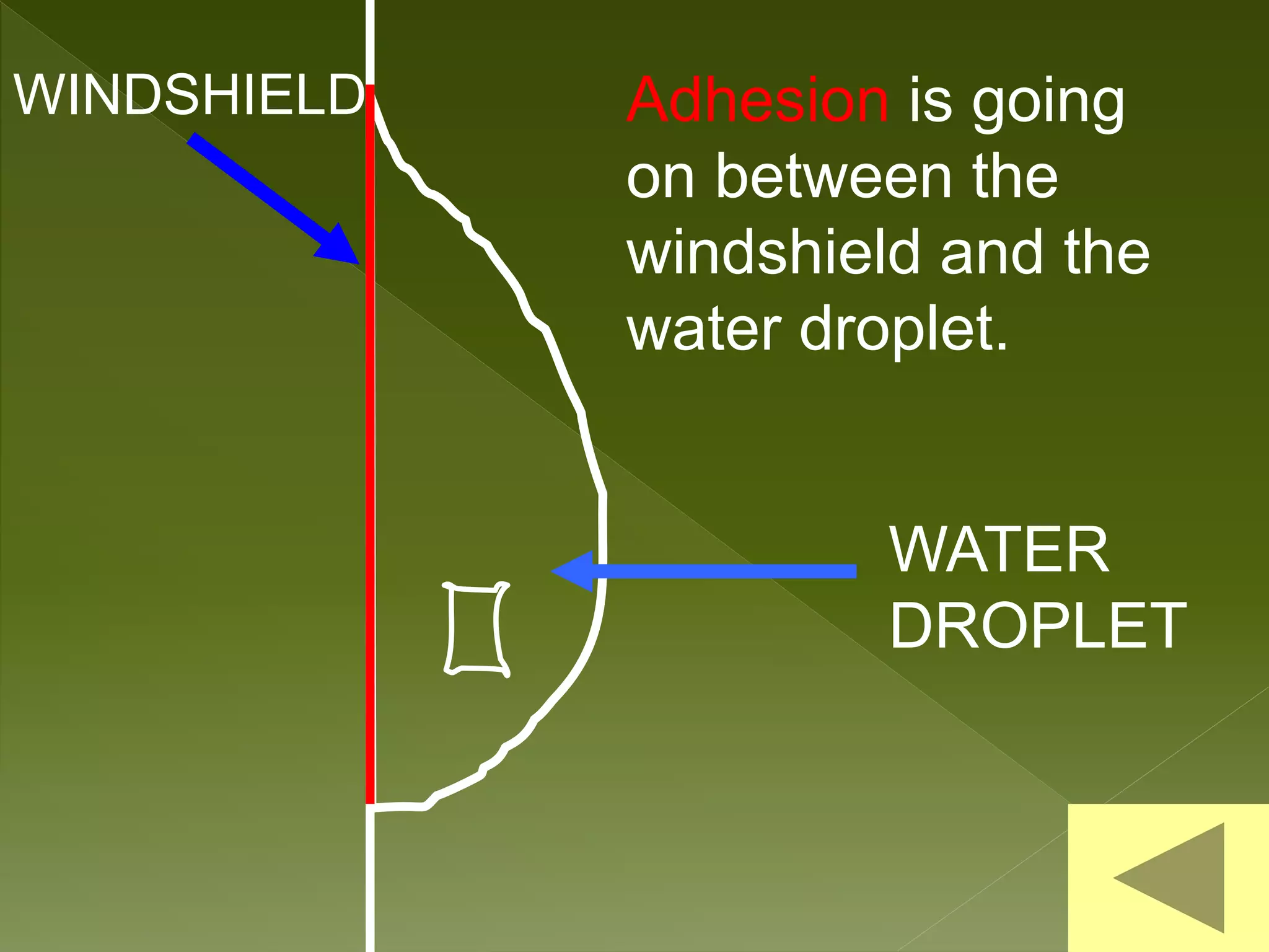 WATER
DROPLET
WINDSHIELD Adhesion is going
on between the
windshield and the
water droplet.
 