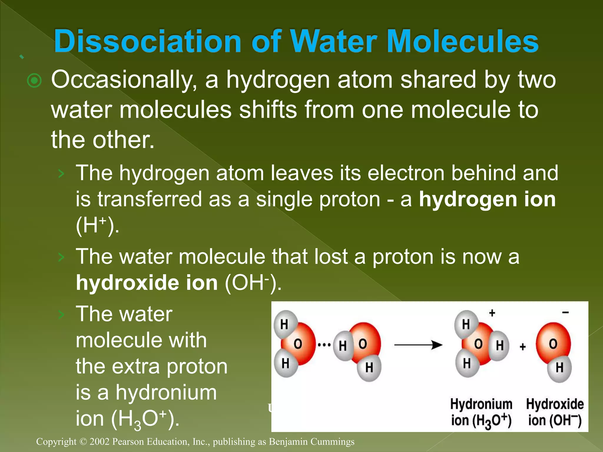  Occasionally, a hydrogen atom shared by two
water molecules shifts from one molecule to
the other.
› The hydrogen atom leaves its electron behind and
is transferred as a single proton - a hydrogen ion
(H+).
› The water molecule that lost a proton is now a
hydroxide ion (OH-).
› The water
molecule with
the extra proton
is a hydronium
ion (H3O+).
Copyright © 2002 Pearson Education, Inc., publishing as Benjamin Cummings
Unnumbered Fig. 3.47
 