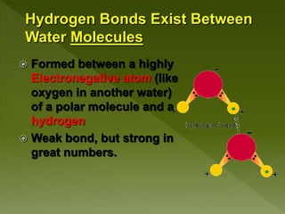 Structure Of Water Molecule