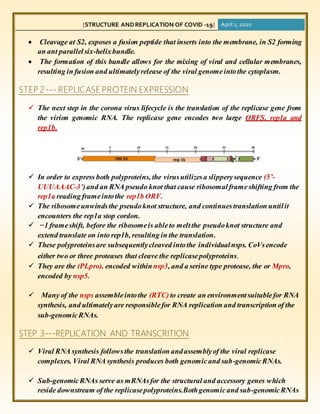 Structure and replication . | DOCX