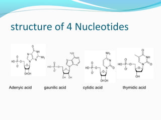 Structure and types of dna & rna | PPT