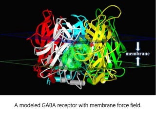 A modeled GABA receptor with membrane force field.
 