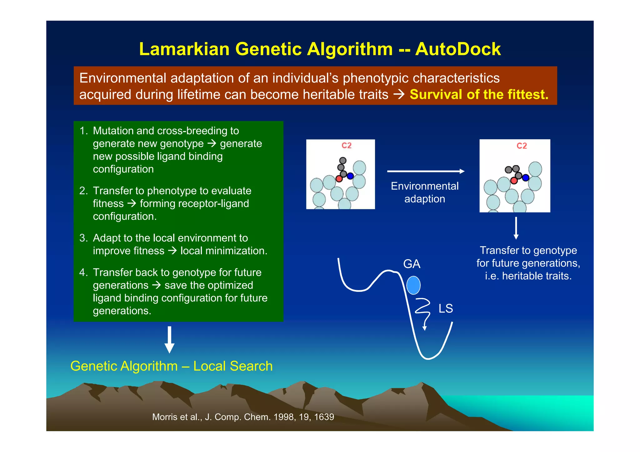 Lamarkian Genetic Algorithm -- AutoDock
Environmental adaptation of an individual’s phenotypic characteristics
acquired during lifetime can become heritable traits
Survival of the fittest.
1. Mutation and cross-breeding to
generate new genotype
generate
new possible ligand binding
configuration
2. Transfer to phenotype to evaluate
fitness
forming receptor-ligand
configuration.

Environmental
adaption

3. Adapt to the local environment to
improve fitness local minimization.
4. Transfer back to genotype for future
generations save the optimized
ligand binding configuration for future
generations.

Genetic Algorithm – Local Search

Morris et al., J. Comp. Chem. 1998, 19, 1639

Transfer to genotype
for future generations,
i.e. heritable traits.

GA

LS

 