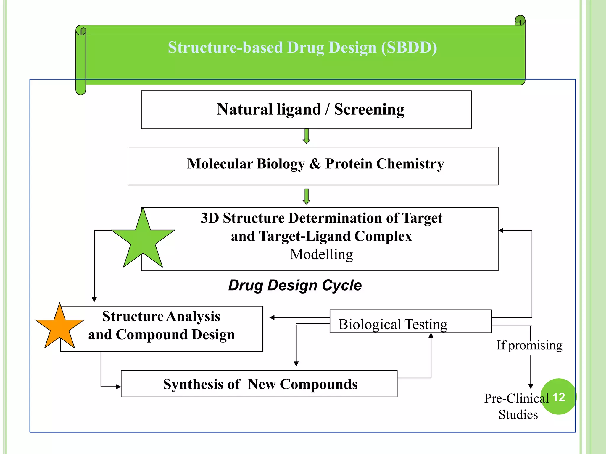 Structure-based Drug Design (SBDD)
Molecular Biology & Protein Chemistry
3D Structure Determination of Target
and Target-Ligand Complex
Modelling
StructureAnalysis
and Compound Design
Biological Testing
Synthesis of New Compounds
If promising
Drug Design Cycle
Natural ligand / Screening
Pre-Clinical 12
Studies
 