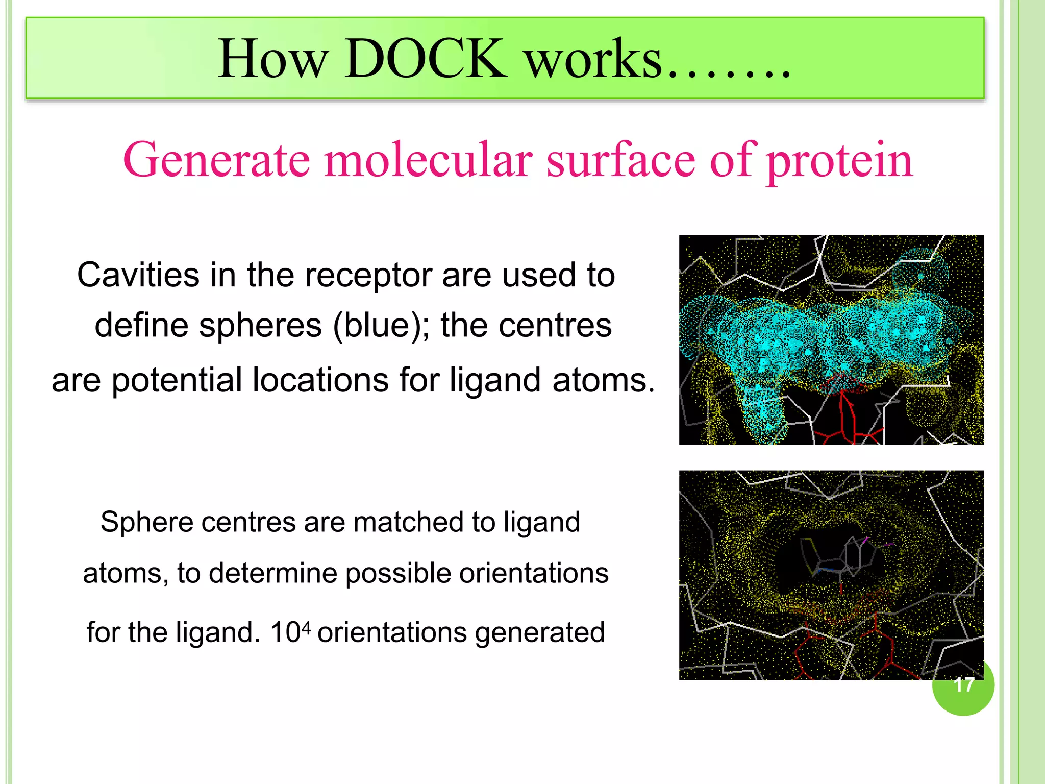 Generate molecular surface of protein
Cavities in the receptor are used to
define spheres (blue); the centres
are potential locations for ligand atoms.
Sphere centres are matched to ligand
atoms, to determine possible orientations
for the ligand. 104 orientations generated
How DOCK works…….
17
 