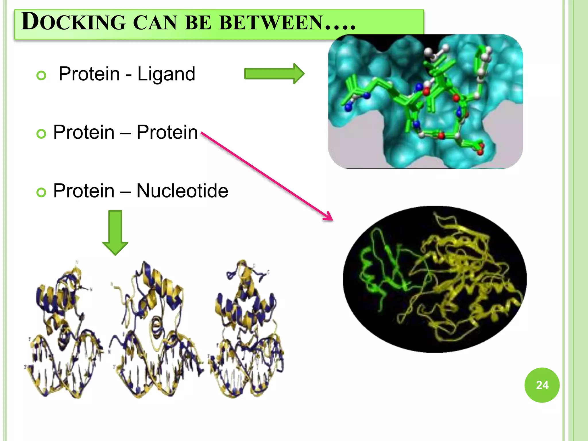 DOCKING CAN BE BETWEEN….
 Protein - Ligand
 Protein – Protein
 Protein – Nucleotide
24
 