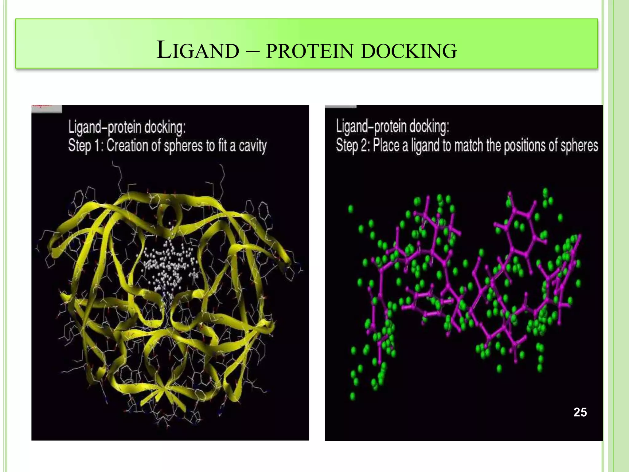 LIGAND – PROTEIN DOCKING
25
 